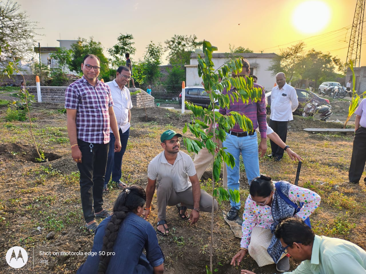 वृक्ष लागवड